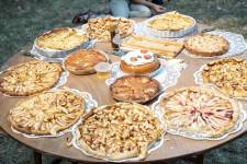 Clothilde MARCHEGAY - sway vision