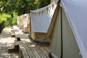 Aline CLADEL - TRIPLE ECLATS