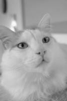 Dimitri ARNAUD - JAGUAR PROD