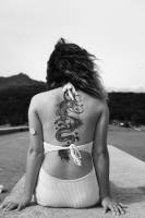 Dimitri ARNAUD - JAGUAR PROD